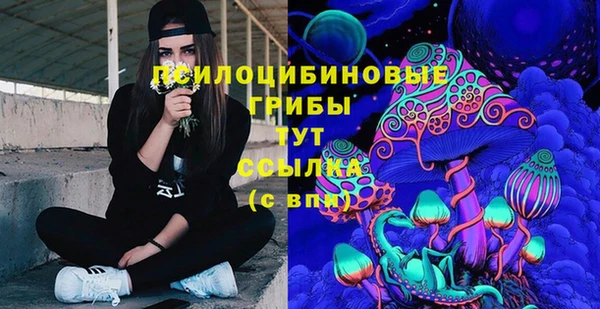 альфа пвп Горно-Алтайск
