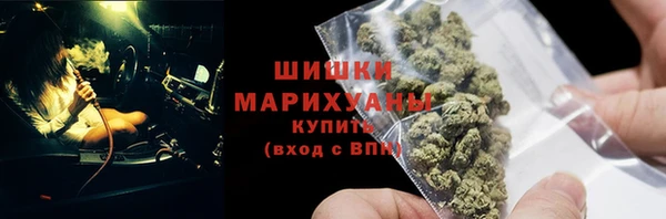 гидра Гусев