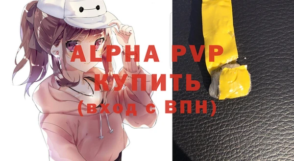 гидра Гусев