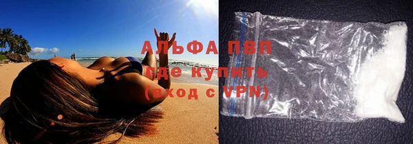 гидра Гусев