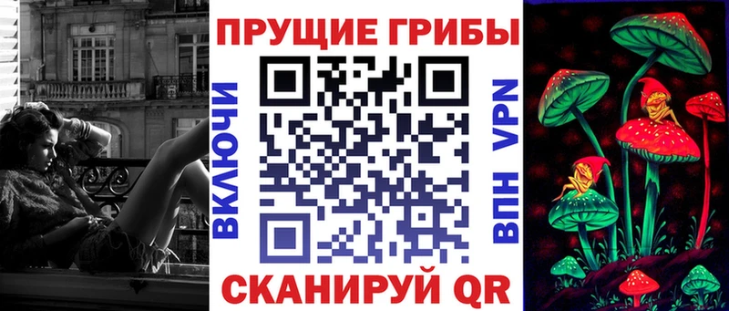 Псилоцибиновые грибы GOLDEN TEACHER МЕГА ссылка Кисловодск
